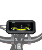 Visor Ebike LikeBike®